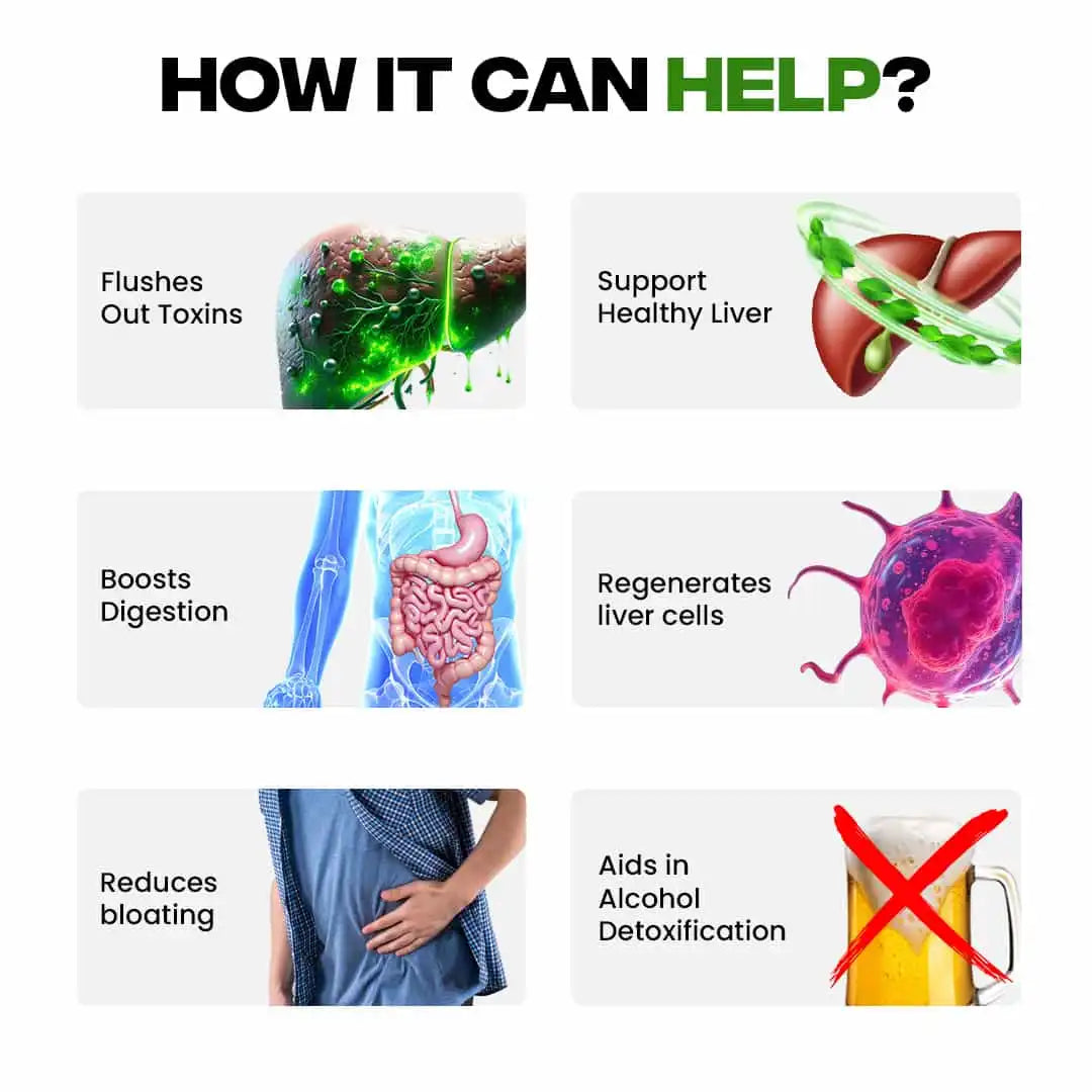 Liver Fix