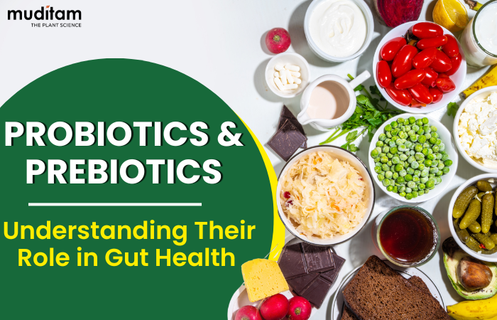 Probiotics and Prebiotics  Understanding Their Role in Gut Health 