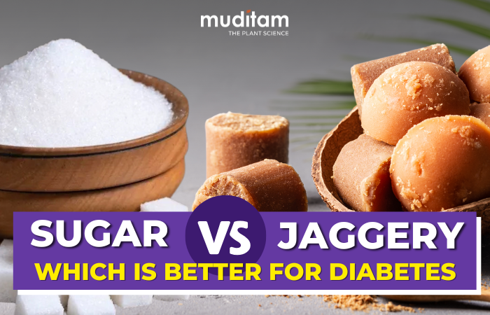 Sugar vs Jaggery : Which is Better for Diabetes?