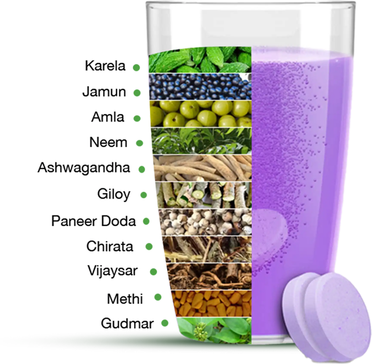Karela Jamun Fizz