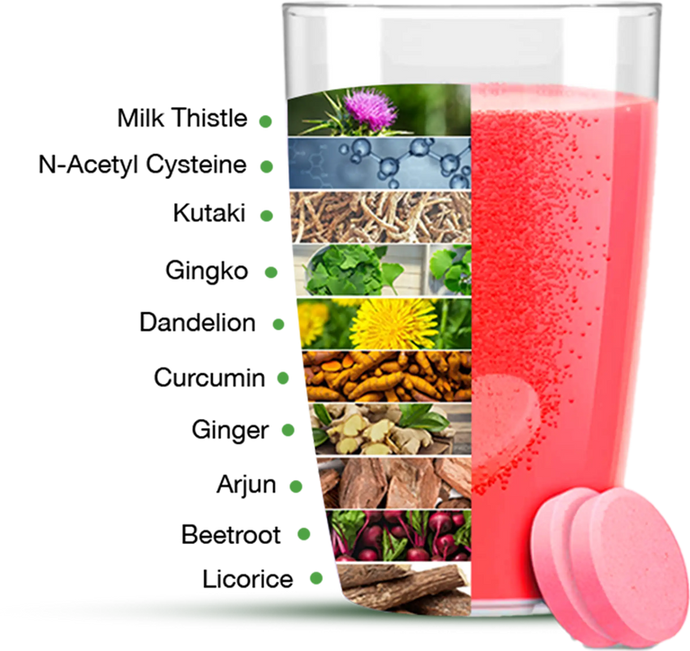 Liver Fix