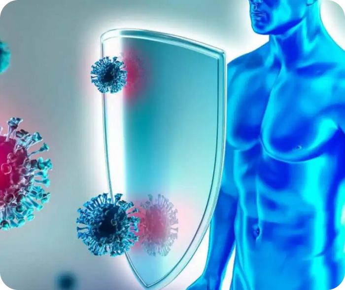 Supports Immune
System